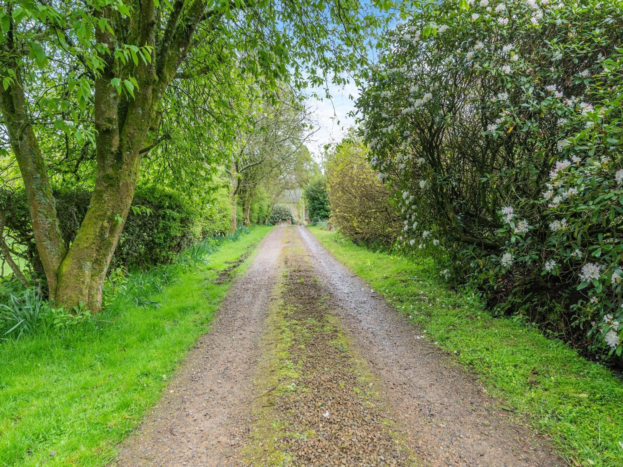 The Magical Barn Villa Haltwhistle Ngoại thất bức ảnh